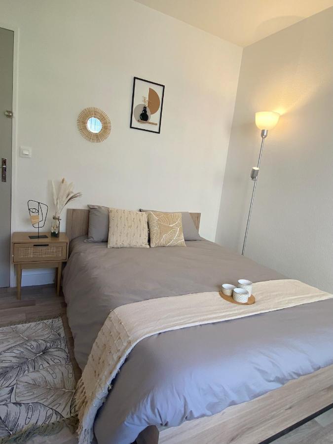 Confort & Elegance En Ville Avec Parking Gratuit Le Mans Buitenkant foto